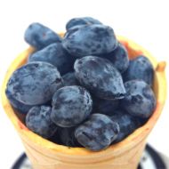 Саджанець Жимолость Серце гіганта (Канадська) в контейнері